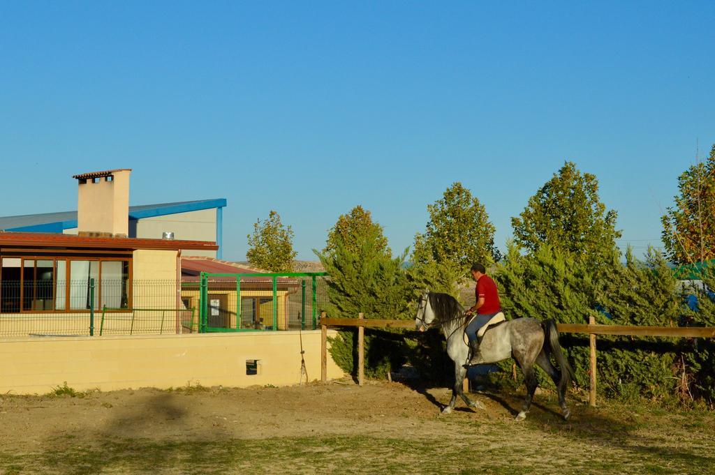 Rural Reillo Alojamientos Rurales Reíllo Exterior foto